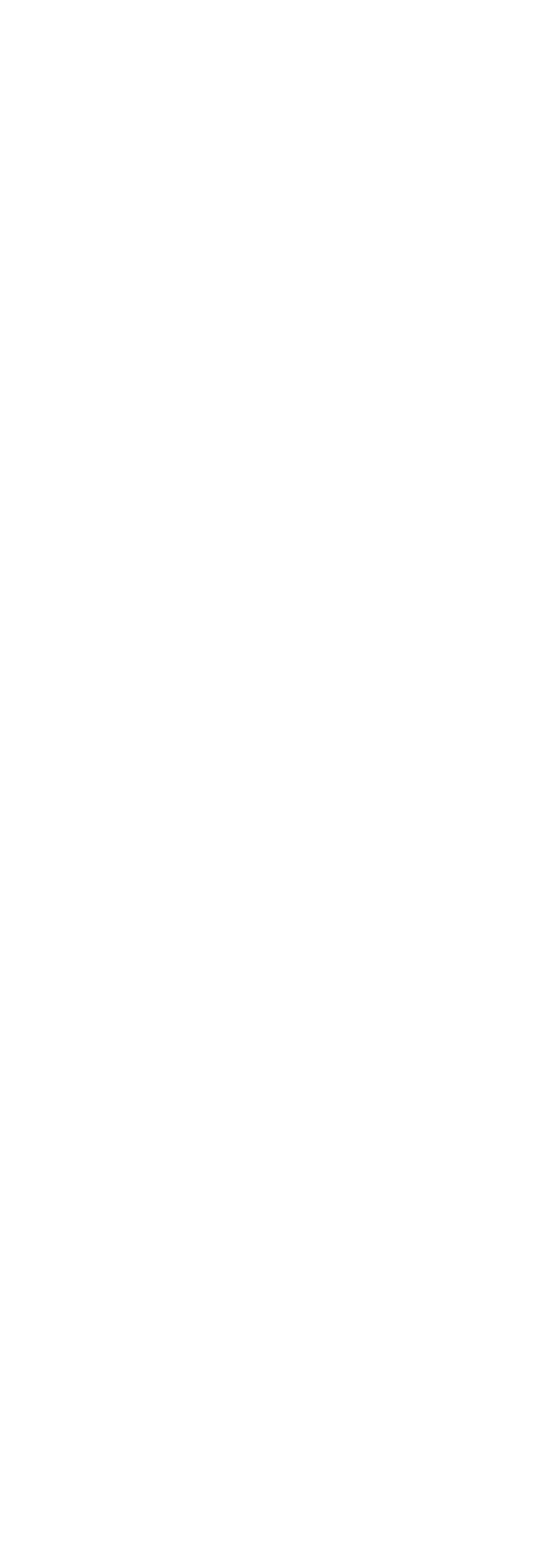 Neo Holdings USA LLC Logo - Strategic Consulting Company